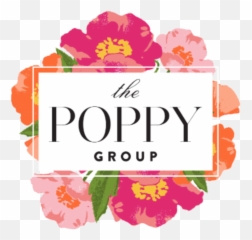 The Poppy Group Png Poppies