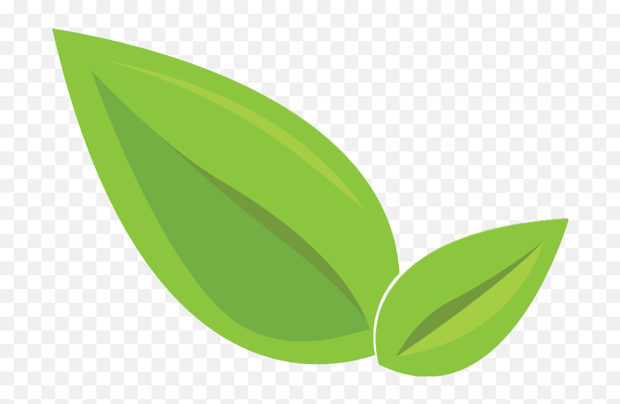 Download Leaf Icon 2 - Green Leaf Icon Transparent Png,Icon 2