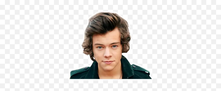 Download Harry Styles Stickers For Whatsapp Apk Free - Transparent Harry Styles Face Png,Harry Styles Twitter Icon