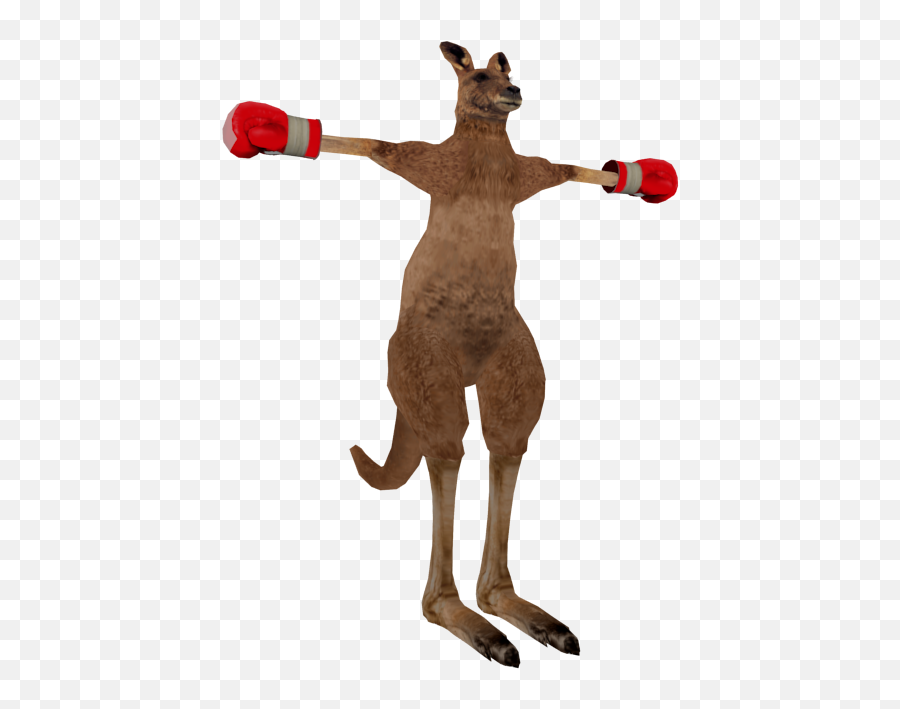 Playstation 2 - Tekken Tag Tournament Roger The Models Roger Tekken Tag Png,Tekken Png