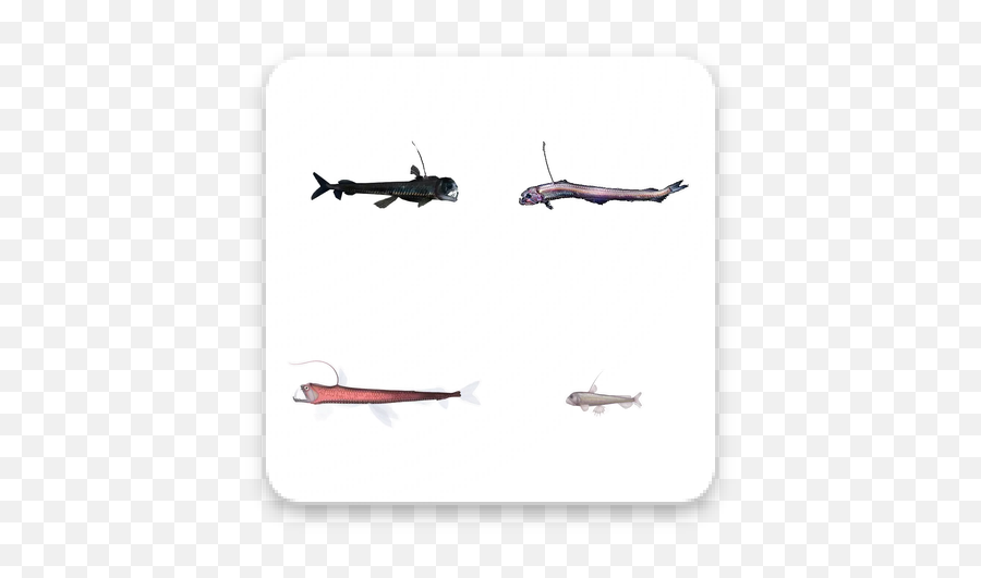 Download Viper Fish Whatsapp Stickers Apk Free - Aircraft Png,Ryan Sheckler Icon