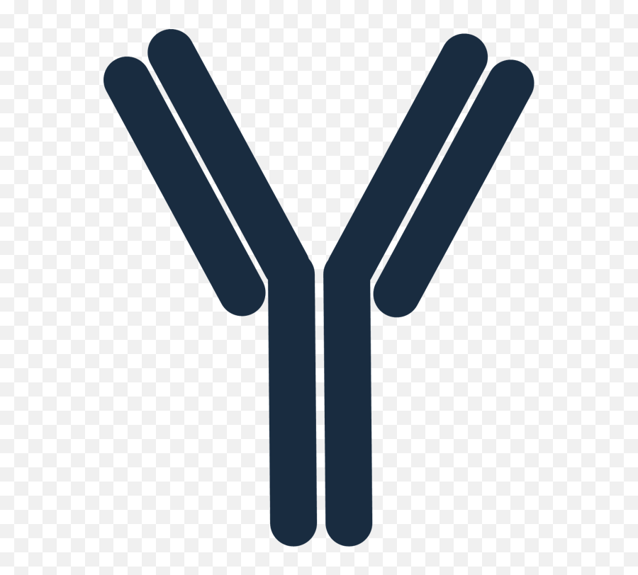 Bvd Tests U2014 Bvdfree New Zealand Png Antibody Icon