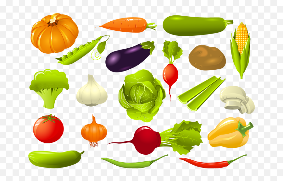 Vegetables Vector Png Image - Vegetable Clipart Free,Vegetable Png
