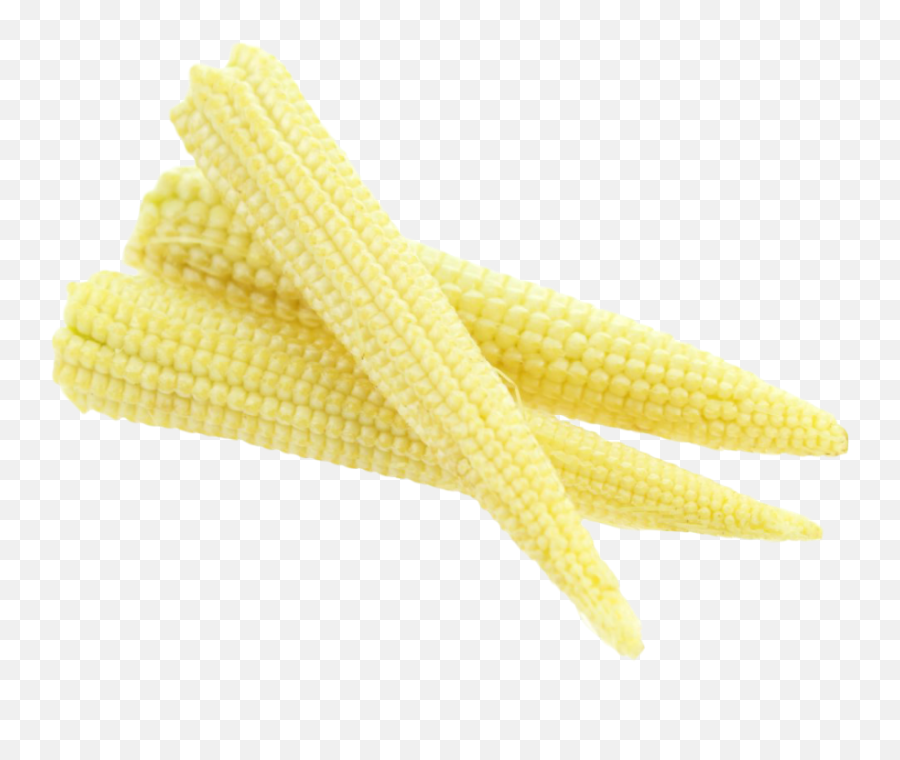 Fresh Baby Corn Png Image - Young Corn Png,Corn Png