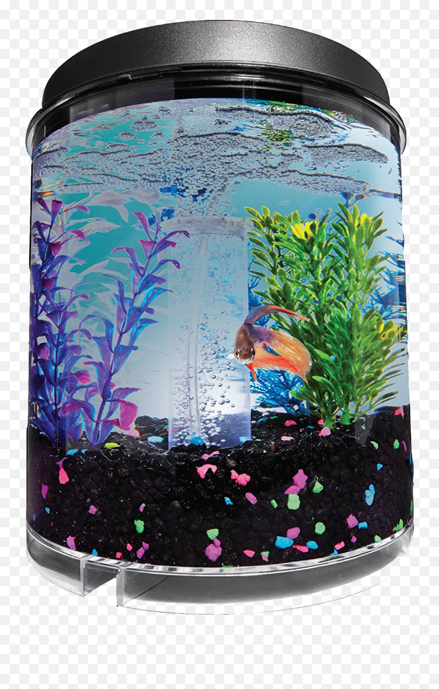 Download Imagitarium 2 Gallon Fish Tank - Aquarium Png,Fish Tank Png