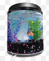 Download Imagitarium 2 Gallon Fish Tank - Aquarium Png,Fish Tank Png