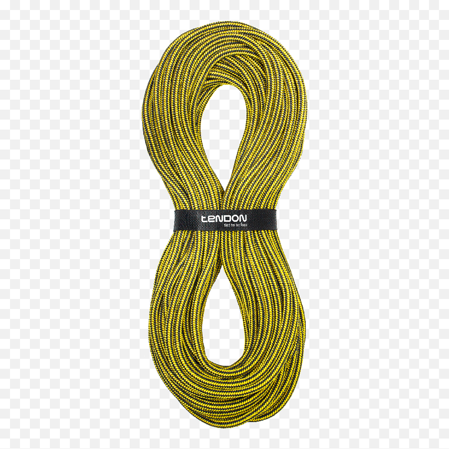 Tendon Timber 150 - Lowering Rope Blackyellow Mytendon Tendon Static Black Yellow Png,Rope Transparent