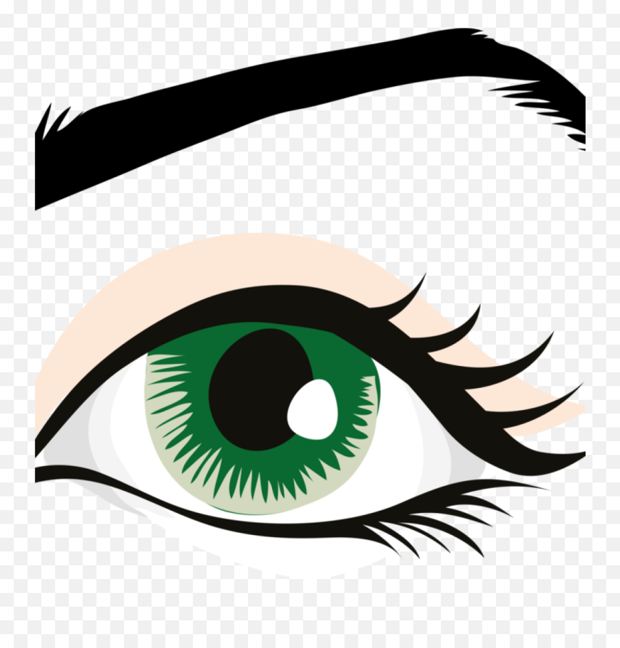 Human Eye Clip Art Eyebrow Eyelid Organ Free - Eye Eye Clipart Png,Human Eye Png