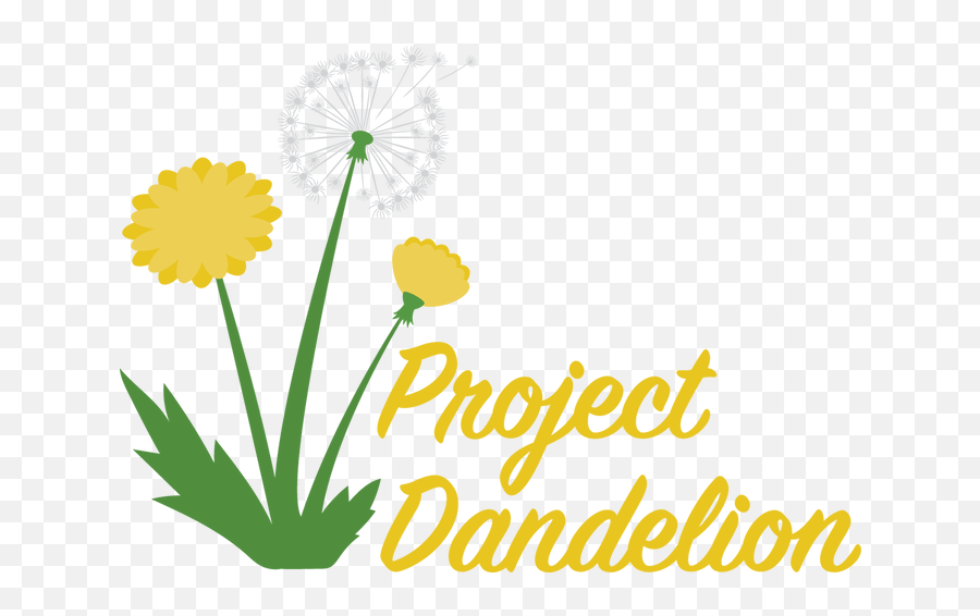 Project Dandelion - Clip Art Png,Dandelion Transparent
