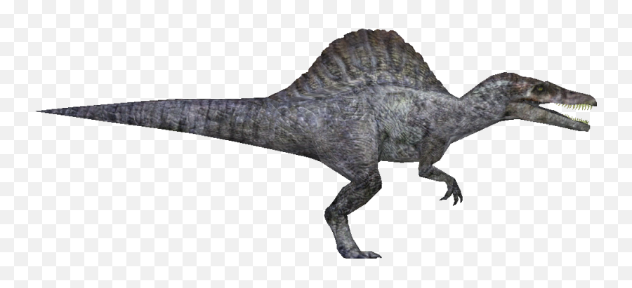 Zt2 Download Library Wiki Spinosaurus - Spinosaurus Jp Transparent Png,Spinosaurus Png