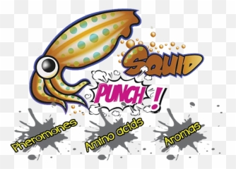 Squid Punch - Squid Proxy Png,Squid Png