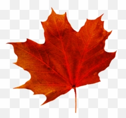 Leaves Clipart Transparent Background - Fall Leaf png