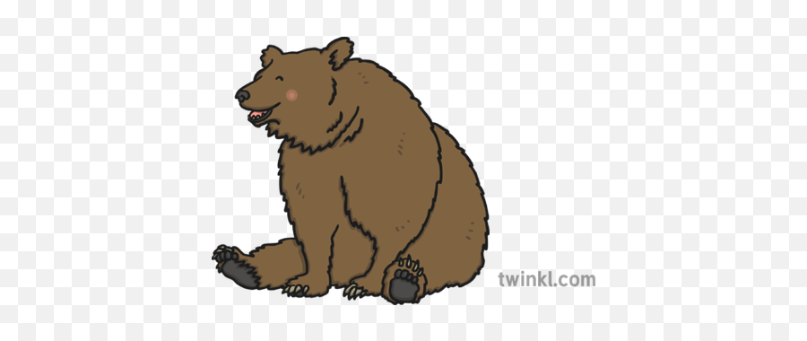 Bear Illustration - Twinkl Grizzly Bear Png,Bears Png