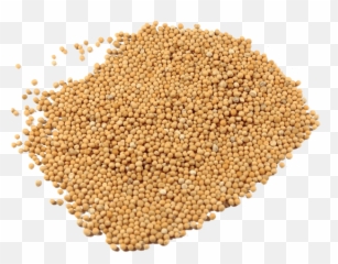 Mustard Seed - Mustard Seed Transparent Png,Mustard Png