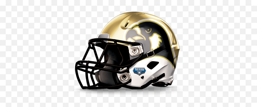 Coolest Looking Helmets In High School - Michigan Football Helmet Png,Falcons Helmet Png