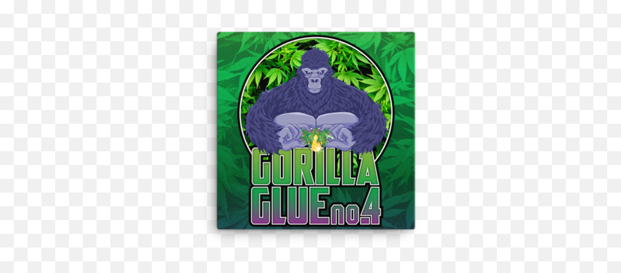 Gorilla Glue - Gorilla Glue Sticker Png,Gorilla Glue Logo