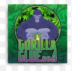 Gorilla Glue - Gorilla Glue Sticker Png,Gorilla Glue Logo