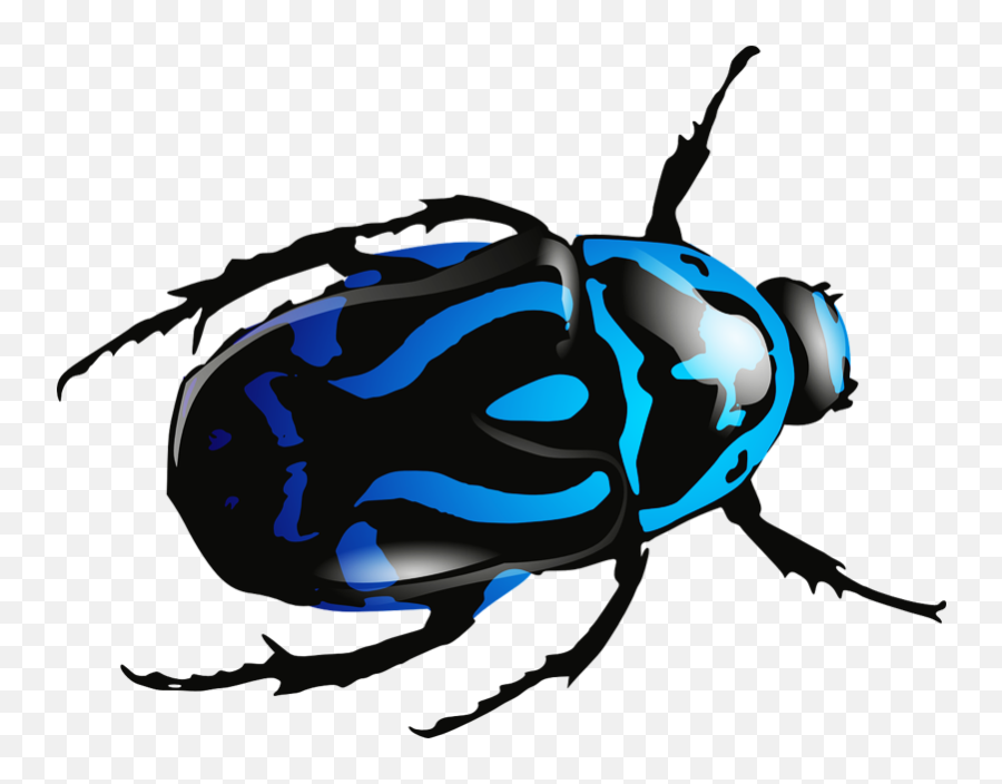Insects Bugs Free Png Images - Beetle Clipart,Bugs Png