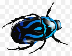 Insects Bugs Free Png Images - Beetle Clipart,Bugs Png