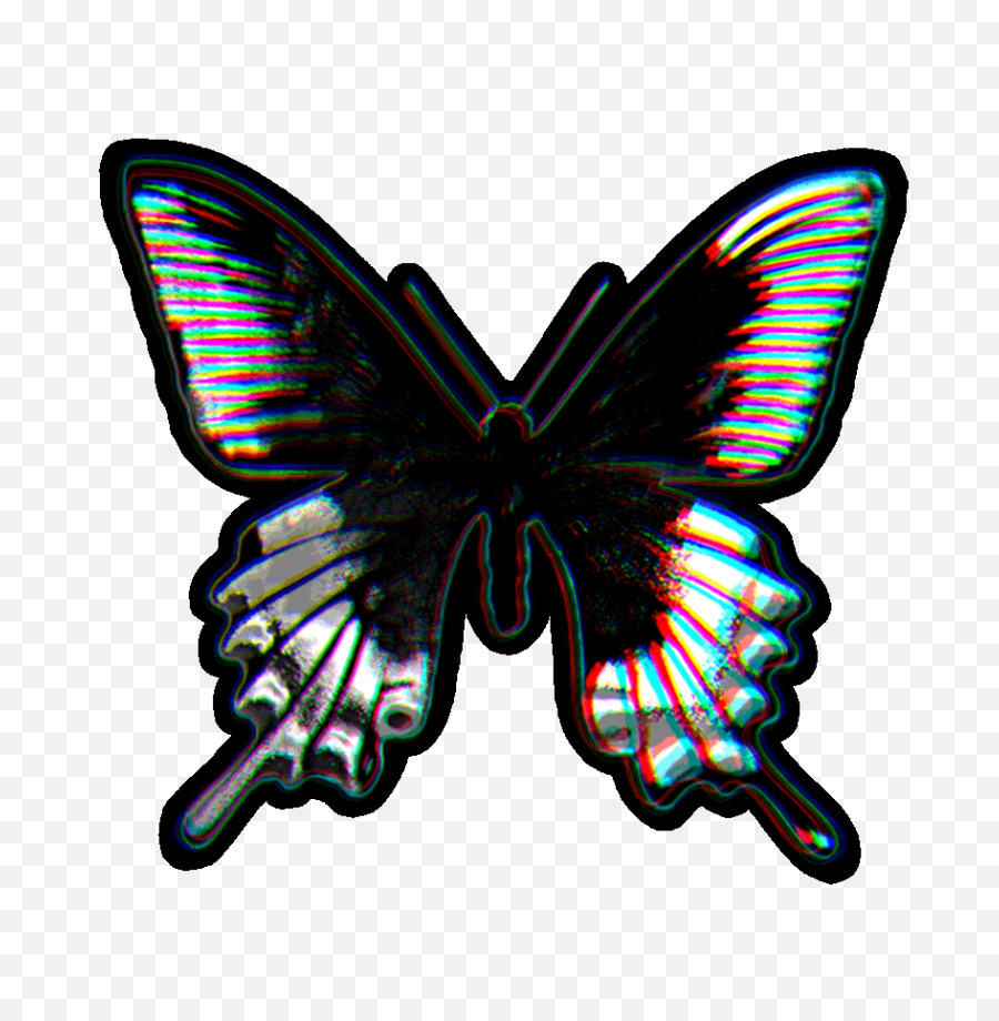 Butterfly Transparent Gif - Transparent Butterfly Gif Png,Butterfly Transparent