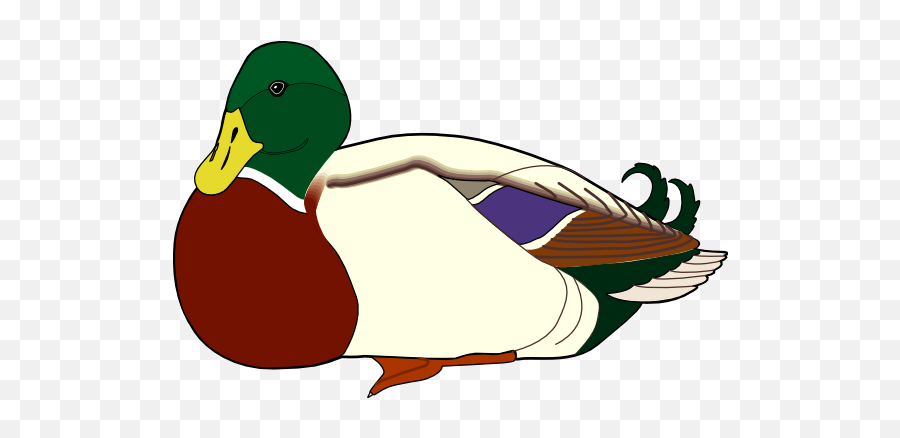 Duck Free To Use Clipart - Clipartingcom Duck Catcher In The Rye Png,Duck Clipart Png