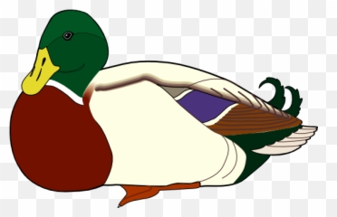 Duck Free To Use Clipart - Clipartingcom Duck Catcher In The Rye Png,Duck Clipart Png