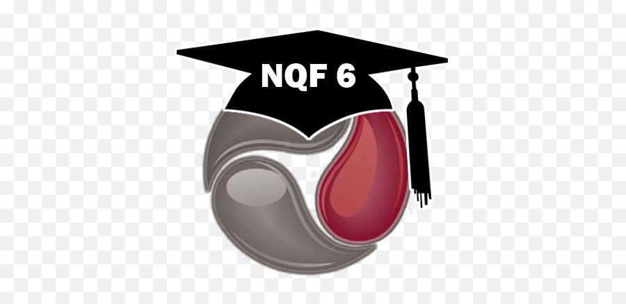 Download Nqf 6 Icon - Nqf 4 Png Image With No Background Square Academic Cap,Vi Icon