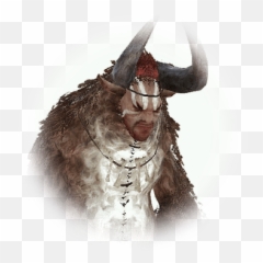 Bookshelf With Knowledge - BDO Codex Bdo Disguised png