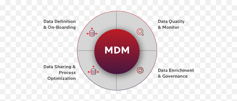 Enhance Your Datau0027s Lifecycle With Birlasoftu0027s Mdm Solutions - Dot Png,Lisa Akoya Vs Icon A5