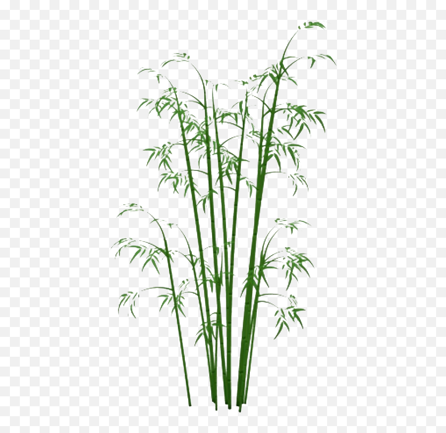 Nature Free Png Images Play - Transparent Bamboo Tree Png,Bamboo Leaves Png