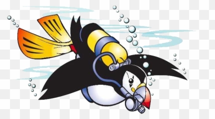 History - Scuba Puffin png