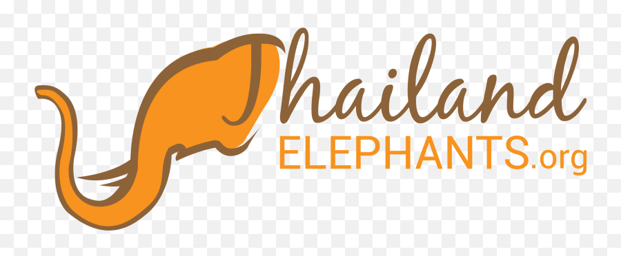 World Elephant Day - Thailand Elephants Logo Png,Elephant Logo Brand
