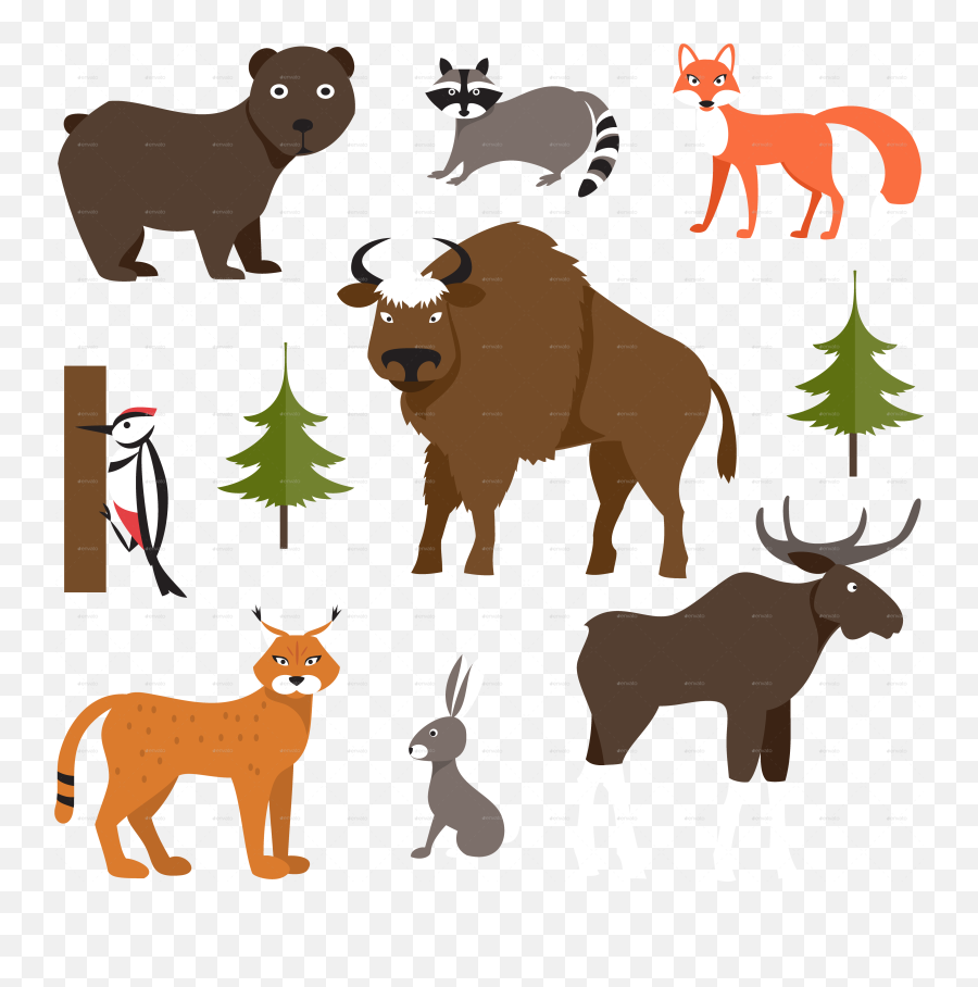 Wild Animals - Forest Animals Png,Animals Png