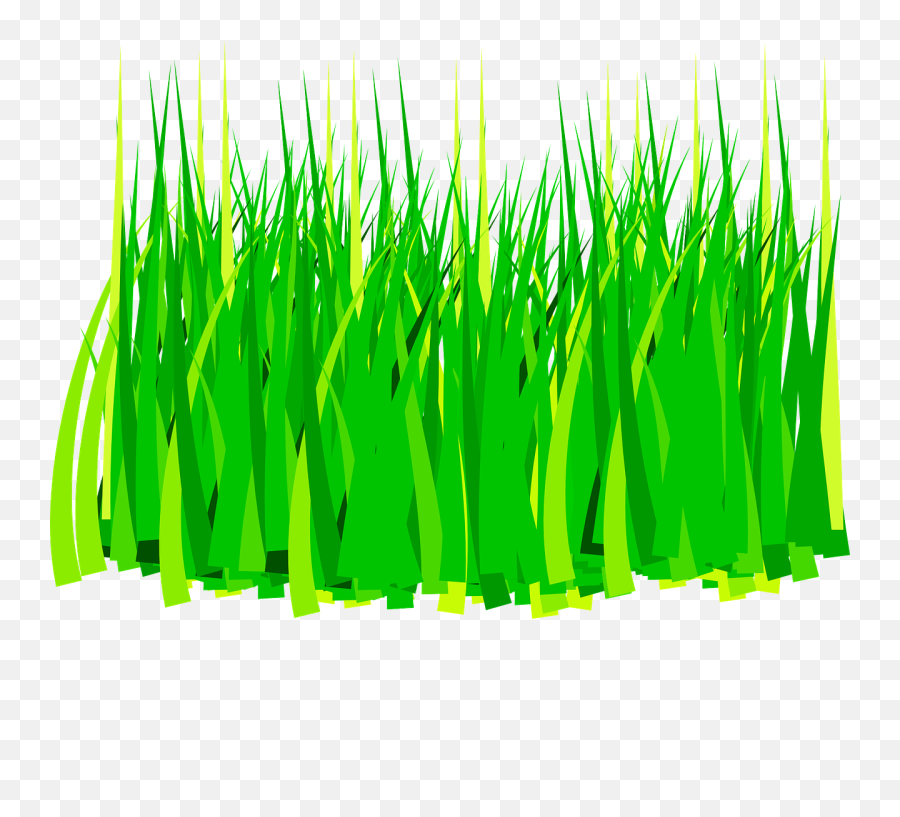 Grass Clipart Top - Grass Clip Art Png,Long Grass Png