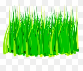 Grass Clipart Top - Art png