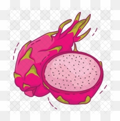 Dragon Fruit Icon Of Flat Style - Dragon Fruit Illustration Png,Dragonfruit Png