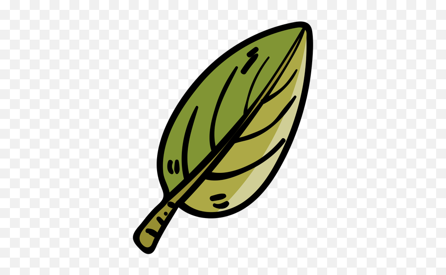 Png Tree Leaf Cartoon Icon - Folha De Arvore Desenho,Leaf Cartoon Png