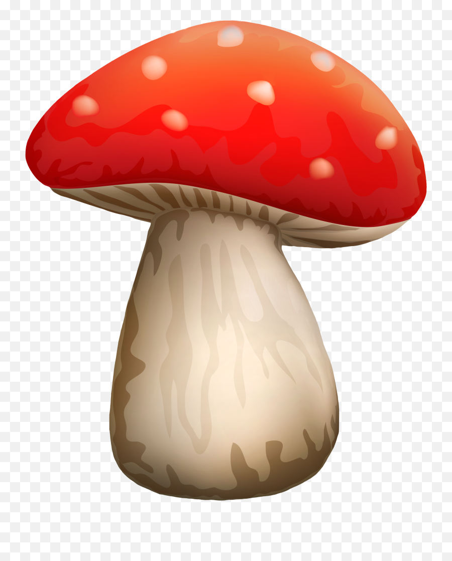 Toadstool Png Hd Transparent - Mushroom Png,Toadstool Png