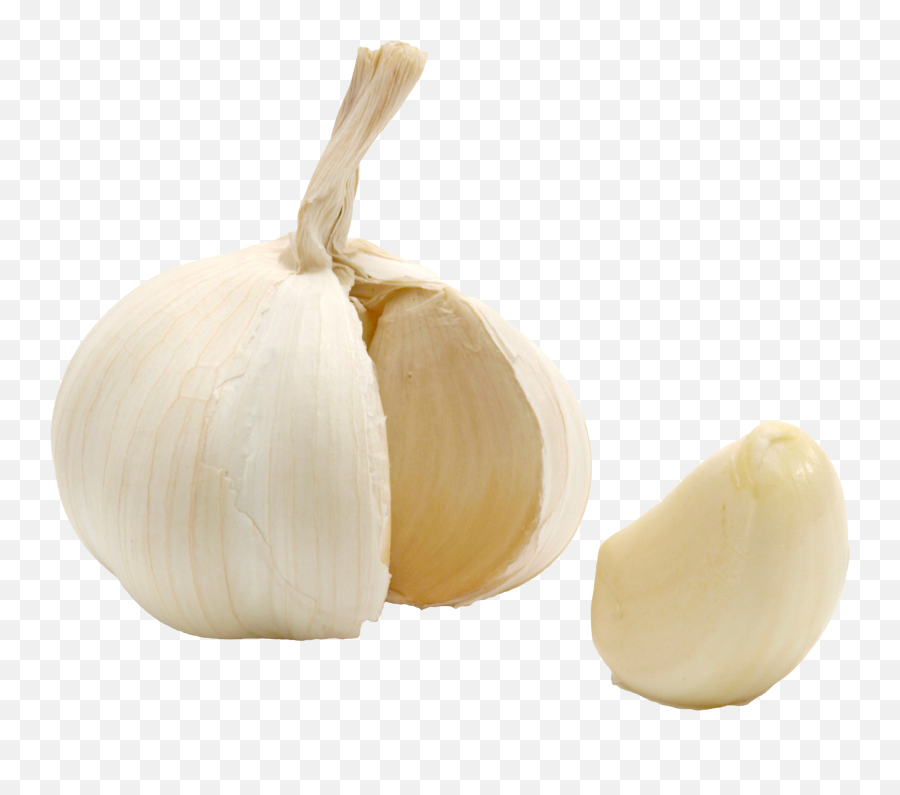 Download Garlic Png Image With No - Garlic Clove Transparent Background,Garlic Transparent Background