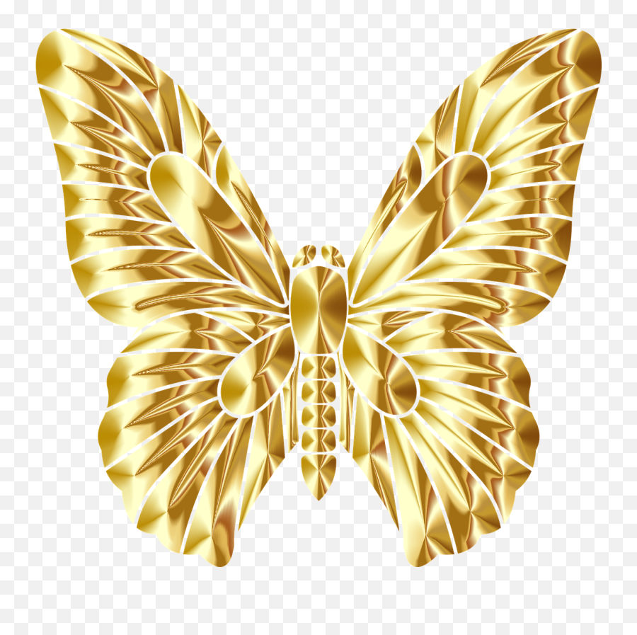Butterfly Insect Wings - Des Ailes De Papillon Png,Gold Butterfly Png