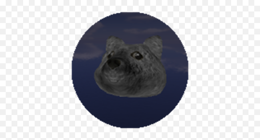 Moon Doge - Bottom Turn Png,Dogecoin Png