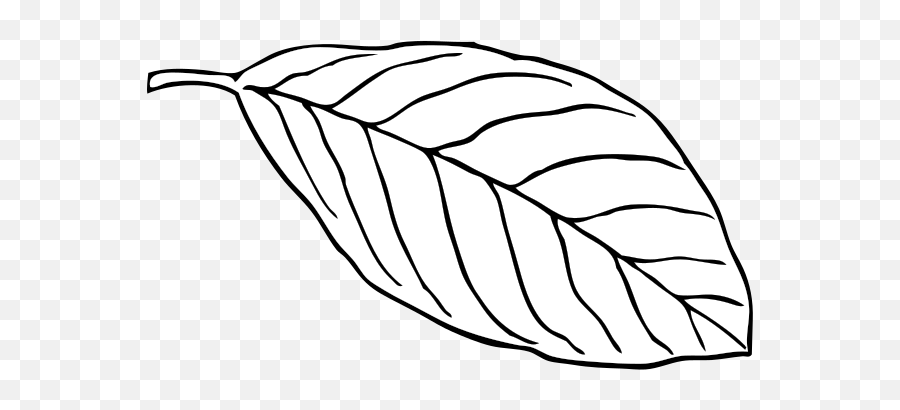 Oak Leaf Png Svg Clip Art For Web - Leaf With Veins Vector,Oak Leaf Png