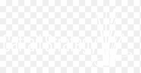 Cattail Strategy - Ihs Markit Logo White png