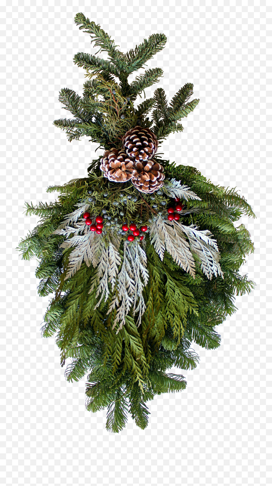 Wreath Fundraising Program - Wood Mountain Christmas Trees For Holiday Png,Christmas Greenery Png