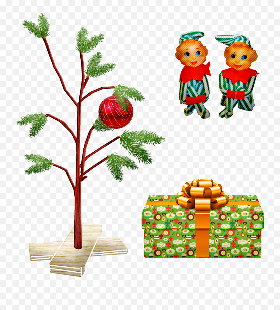 Charlie Brown Christmas Tree Elf - Free Image On Pixabay Christmas Day Png,Charlie Brown Png
