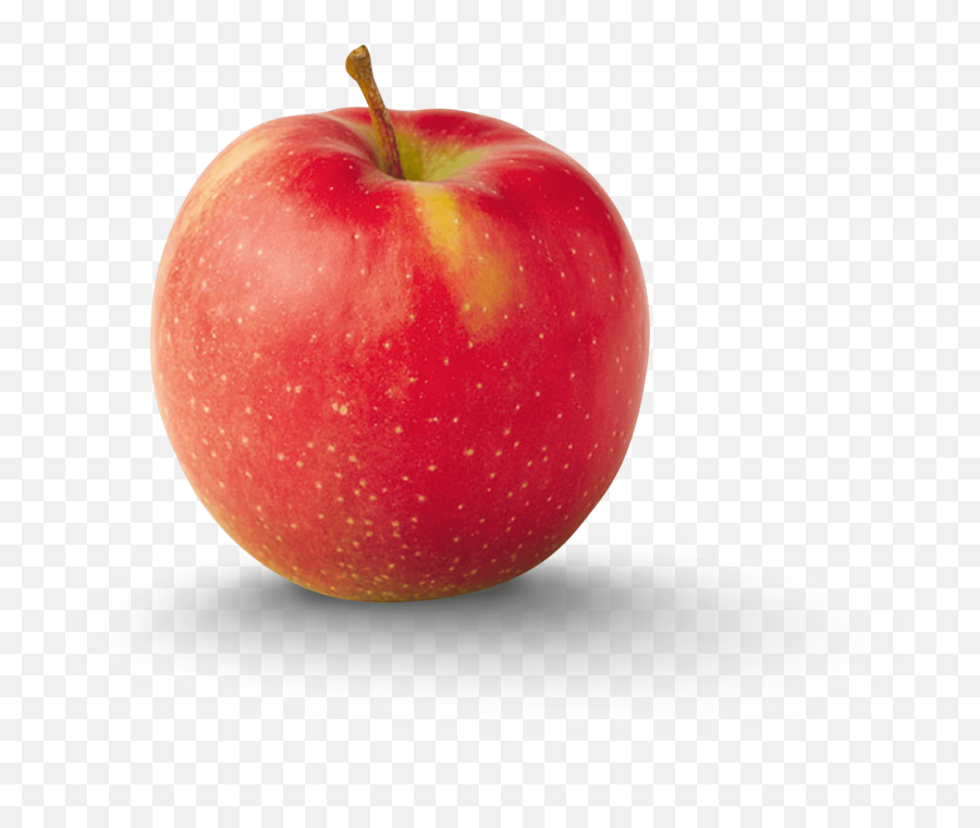 Varieties Archive - Fresh Apple Png,Apple Slice Png