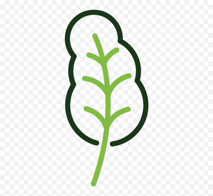 Kale - Vertical Png,Plastic Surgery Icon
