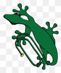 Geckos Toes - Clip Art png