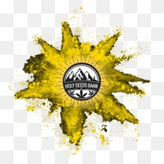Feminized Pollen Cannabis Seeds - Circle Png,Pollen Png