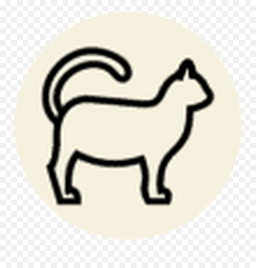 Shop - Cat Page 1 Pet Food Express Animal Figure Png,Cat Eye Icon